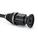 TRN-MSC-RID-VW-NEW-0246 #3
