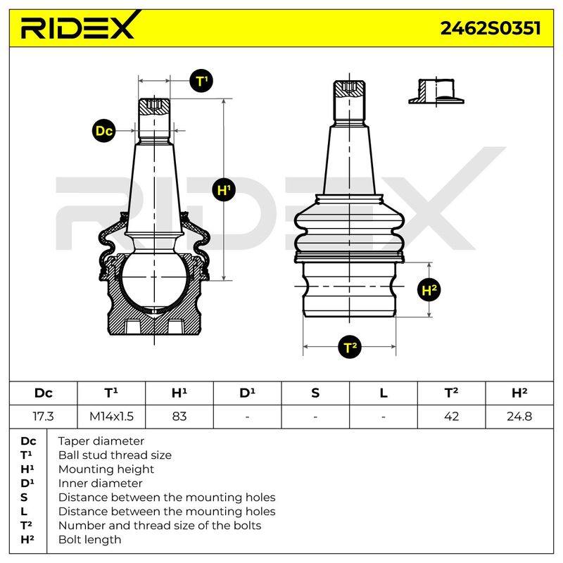 SUS-BJT-RID-POR-NEW-0005 #3