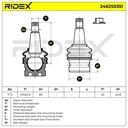 SUS-BJT-RID-POR-NEW-0005 #3