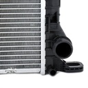 COO-RAD-RID-POR-NEW-0006 #2