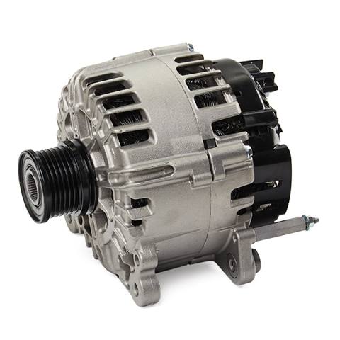 ELE-ALT-RID-VW-NEW-0022 #1