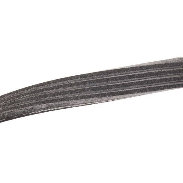 COO-WPU-RID-VW-NEW-0031 #1