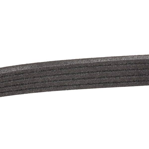 COO-WPU-RID-VW-NEW-0031 #2