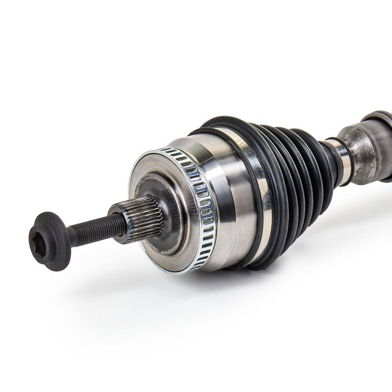 TRN-MSC-RID-VW-NEW-0249 #1