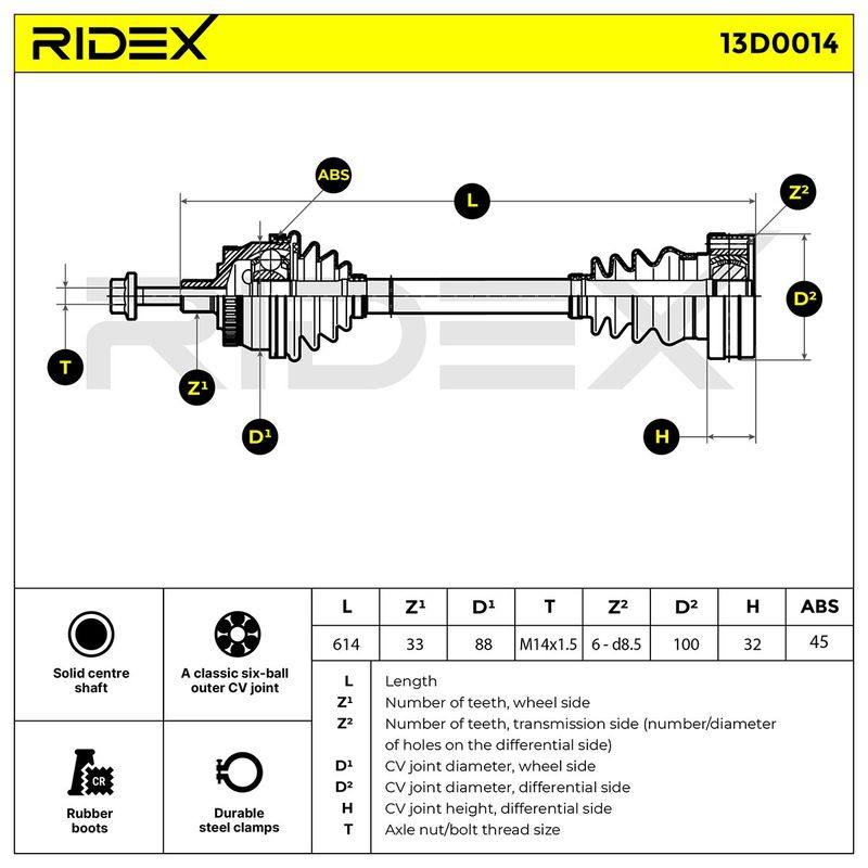 TRN-MSC-RID-VW-NEW-0259 #2