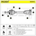 TRN-MSC-RID-VW-NEW-0259 #2