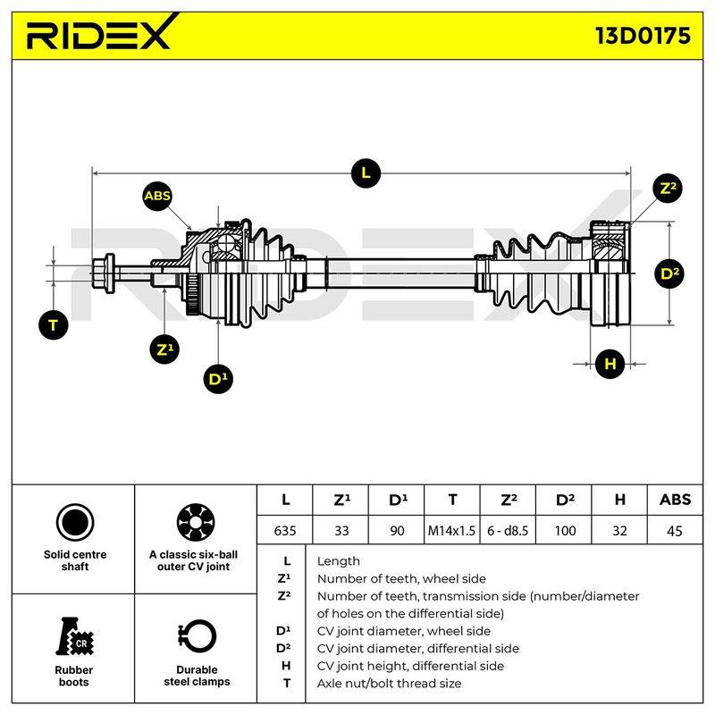 TRN-MSC-RID-VW-NEW-0256 #4