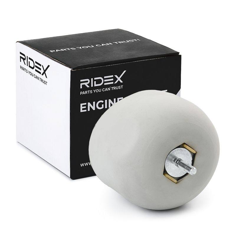 ENG-MSC-RID-SKO-NEW-0036 #1