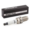 IGN-SPK-RID-CIT-NEW-0006 #1