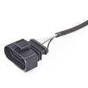 ELE-SEN-RID-SKO-NEW-0021 #1