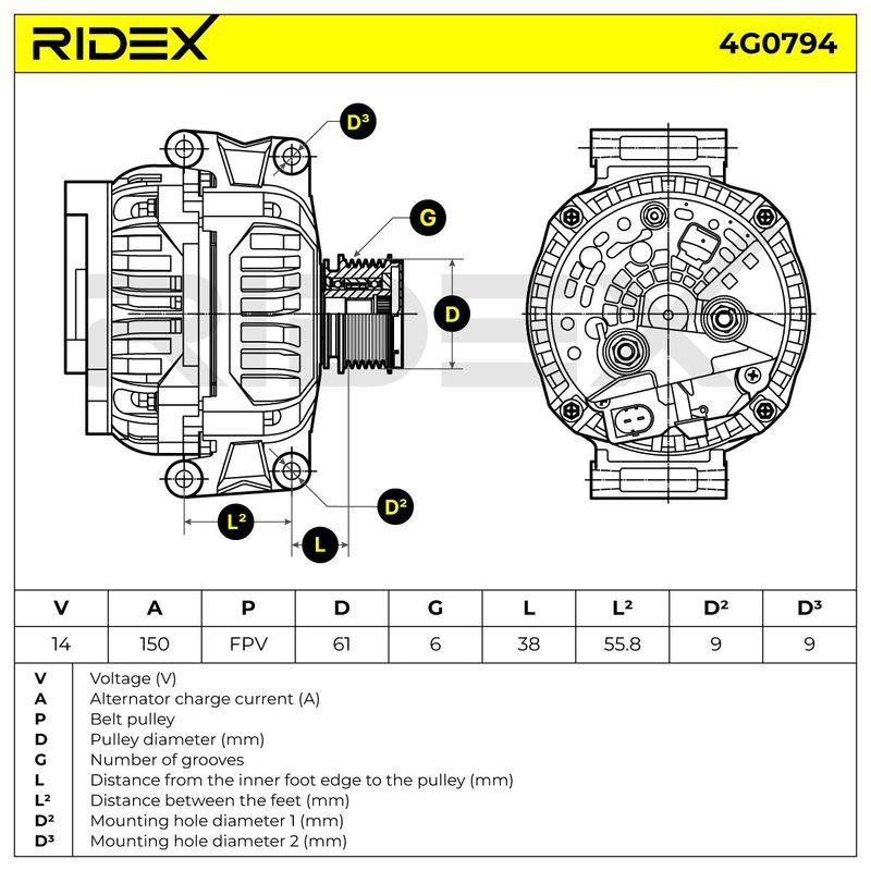 ELE-ALT-RID-VW-NEW-0024 #3