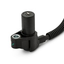 ELE-SEN-RID-SEA-NEW-0170 #1