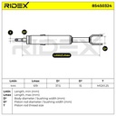 SUS-SHA-RID-SEA-NEW-0112 #2