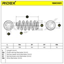 SUS-MSC-RID-SEA-NEW-0151 #1