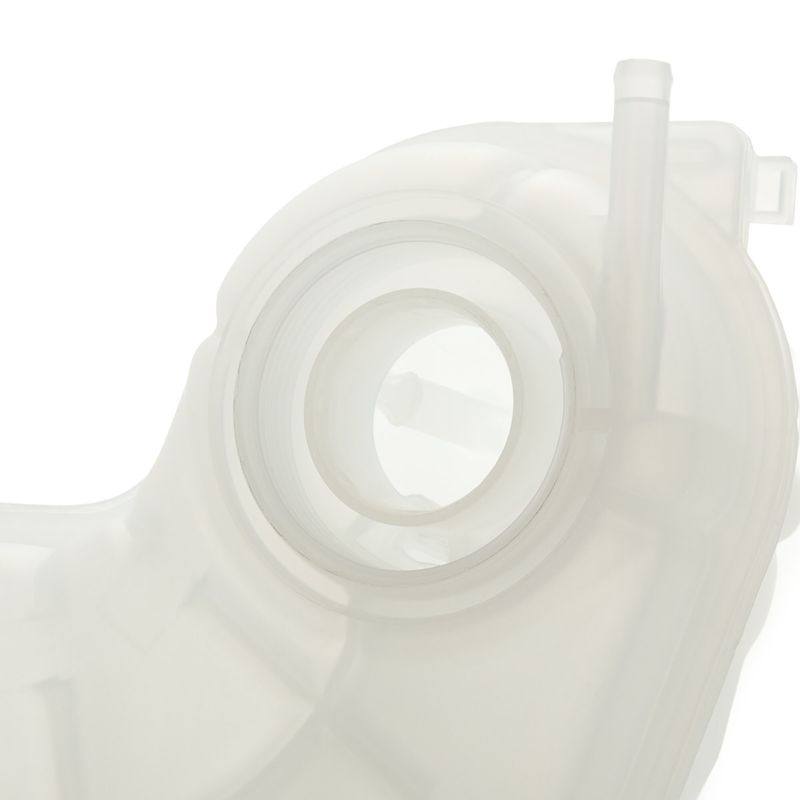 COO-MSC-RID-SEA-NEW-0054 #1