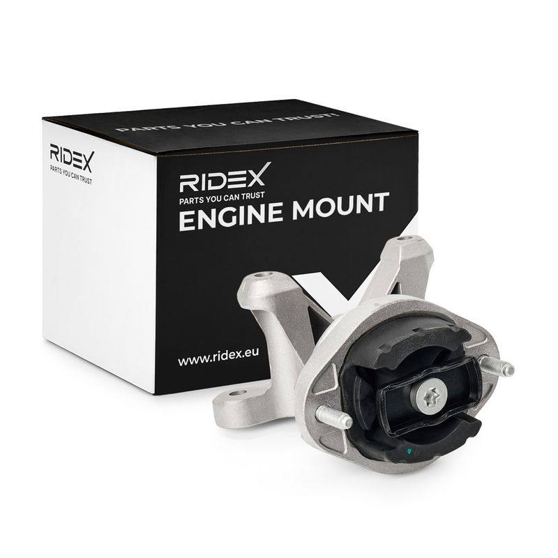 ENG-MSC-RID-SEA-NEW-0271 #1