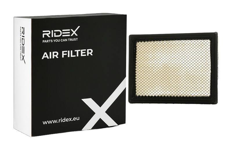 FIL-AIR-RID-REN-NEW-0075 #3