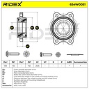 BEA-WBE-RID-LAM-NEW-0001 #3