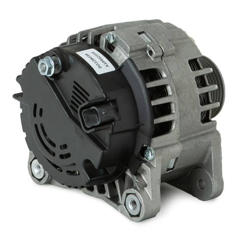 ELE-ALT-RID-REN-NEW-0105 #1