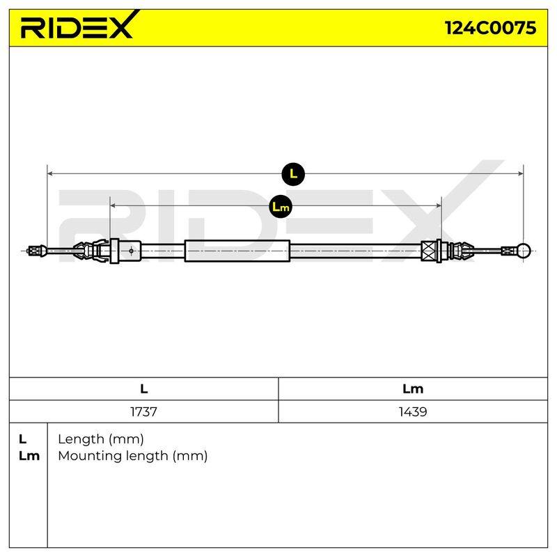 BRK-MSC-RID-REN-NEW-0036 #4