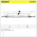 BRK-MSC-RID-REN-NEW-0036 #4