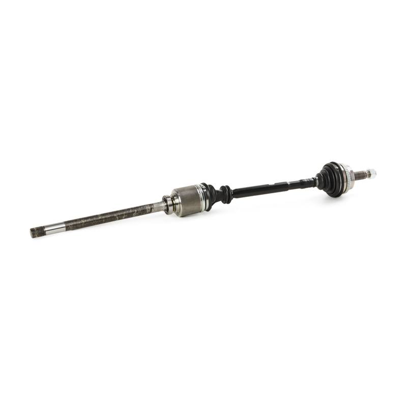 TRN-MSC-RID-REN-NEW-0285 #1