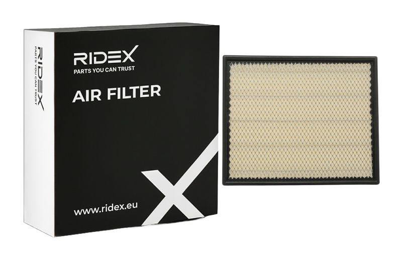 FIL-AIR-RID-REN-NEW-0078 #4