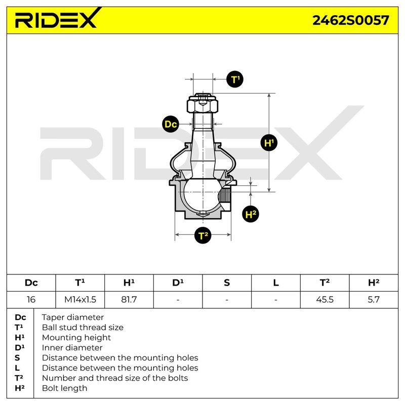 SUS-BJT-RID-REN-NEW-0011 #4