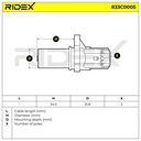 ELE-SEN-RID-CHR-NEW-0095 #2