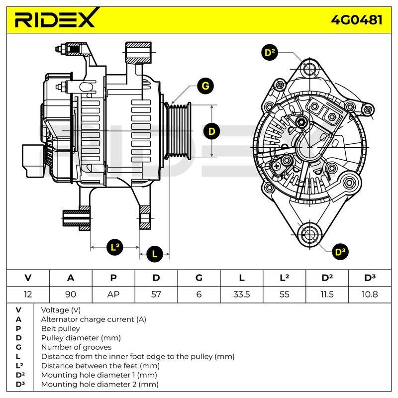 ELE-ALT-RID-CHR-NEW-0041 #3