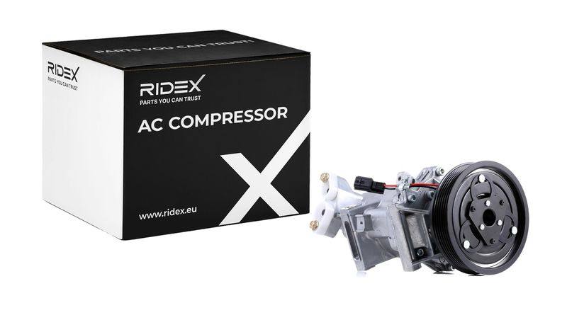 COO-MSC-RID-REN-NEW-0070 #2
