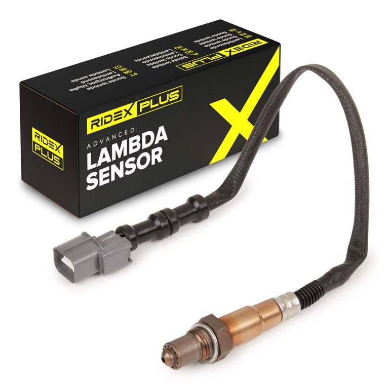ELE-SEN-RID-KIA-NEW-0112 #4