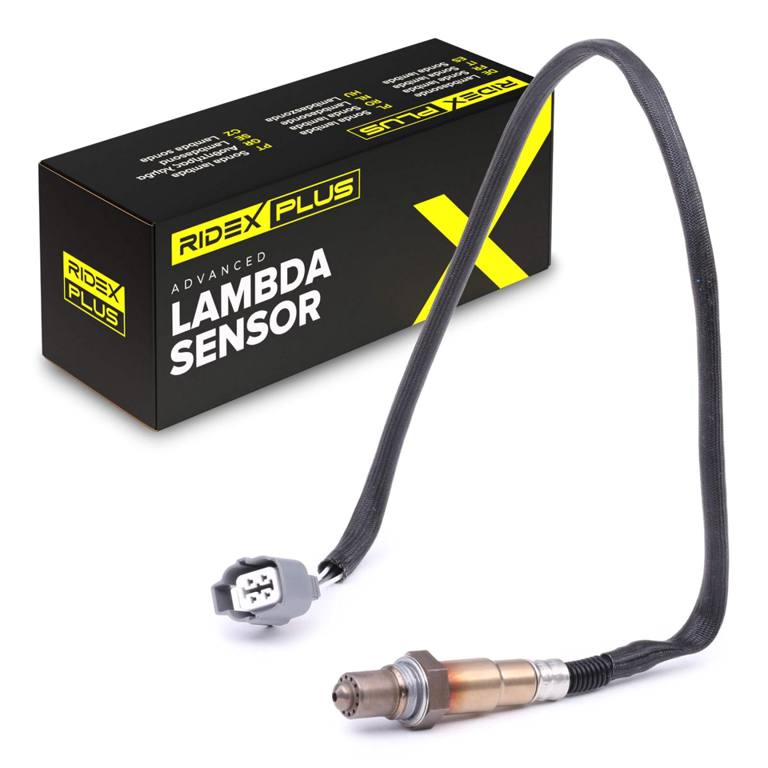 ELE-SEN-RID-ROV-NEW-0014 #2