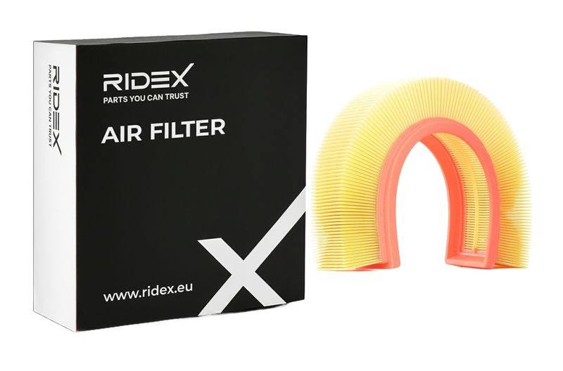 FIL-AIR-RID-REN-NEW-0035 #3