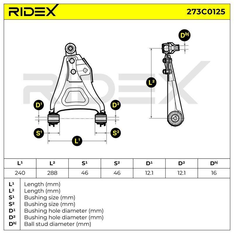 SUS-CAR-RID-REN-NEW-0048 #1