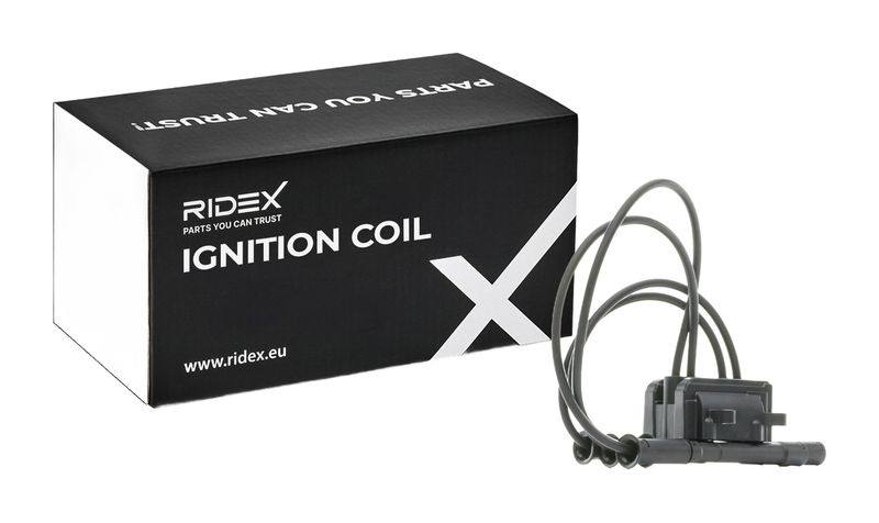 IGN-ICO-RID-REN-NEW-0017 #2