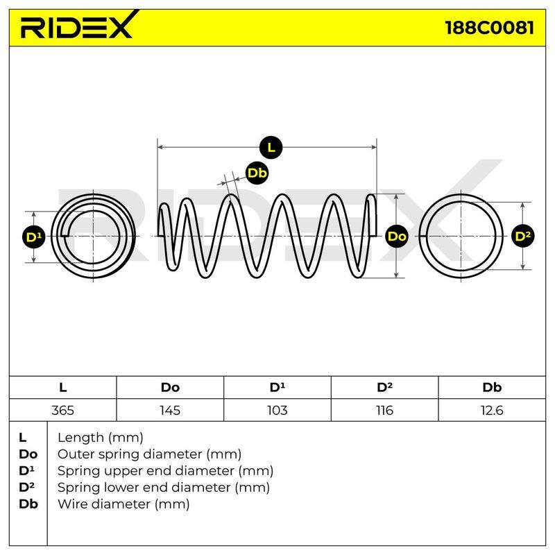 SUS-MSC-RID-REN-NEW-0124 #1