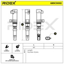 IGN-ICO-RID-REN-NEW-0008 #3