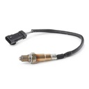 ELE-SEN-RID-REN-NEW-0029 #1