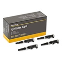 IGN-ICO-RID-REN-NEW-0011 #1
