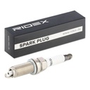 IGN-SPK-RID-REN-NEW-0008 #1