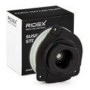 SUS-SMT-RID-REN-NEW-0079 #1