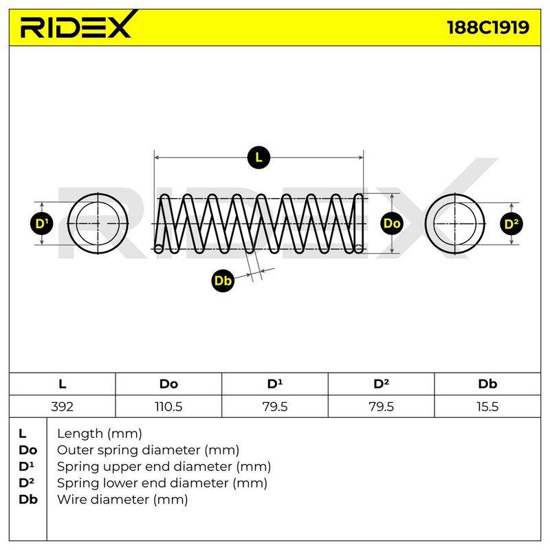 SUS-MSC-RID-REN-NEW-0010 #2