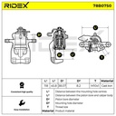 BRK-CAL-RID-REN-NEW-0292 #2