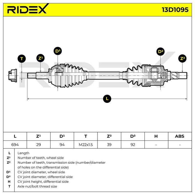 TRN-MSC-RID-REN-NEW-0369 #2