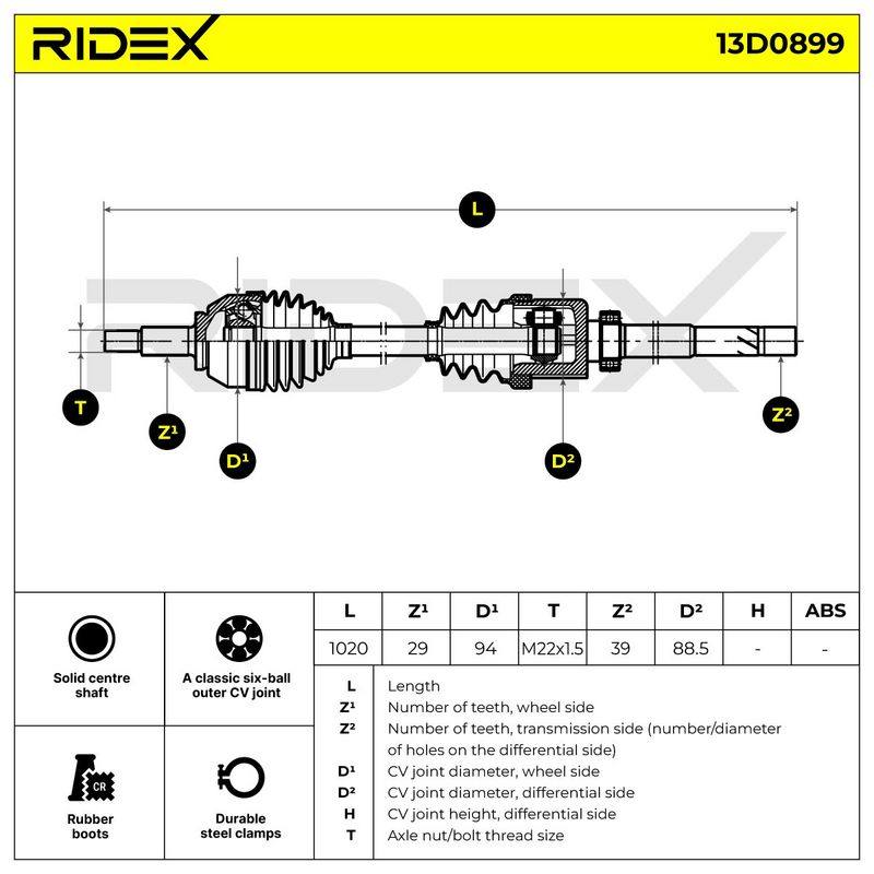 TRN-MSC-RID-REN-NEW-0382 #2