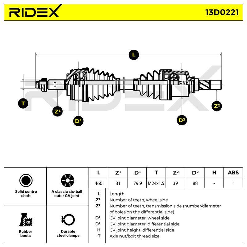 TRN-MSC-RID-REN-NEW-0325 #2