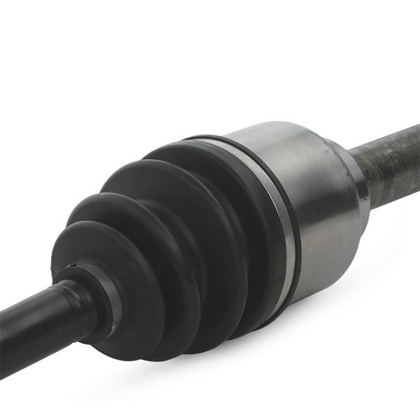 TRN-MSC-RID-REN-NEW-0300 #3