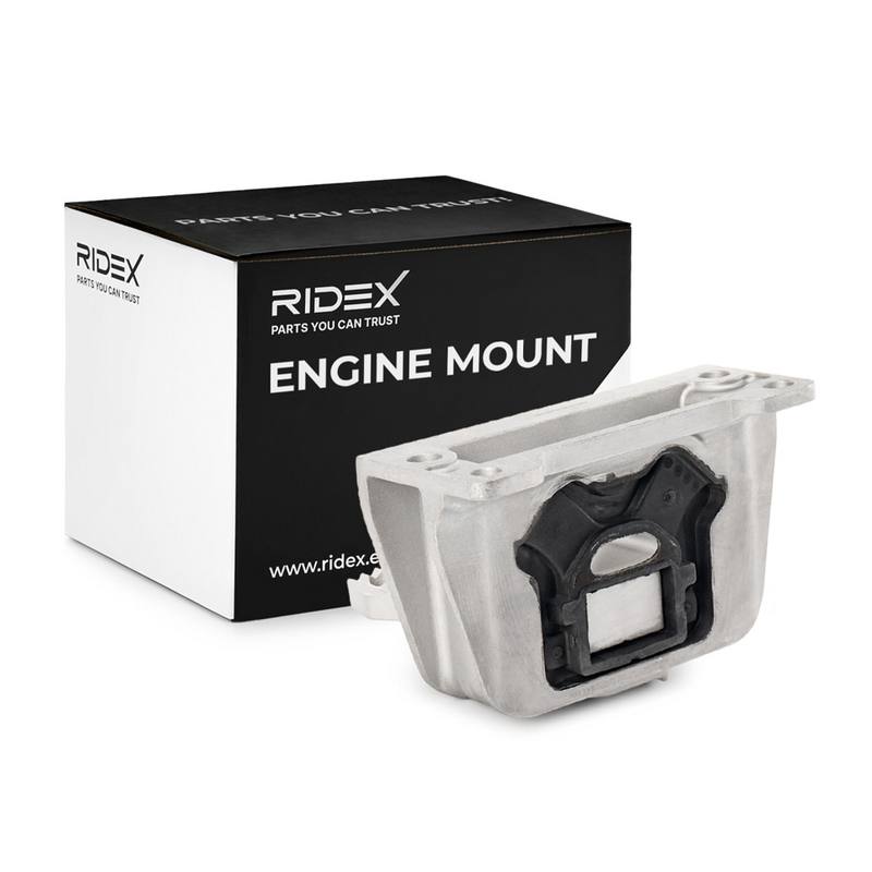 ENG-MSC-RID-REN-NEW-0282 #3