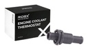 COO-THE-RID-VW-NEW-0003 #2